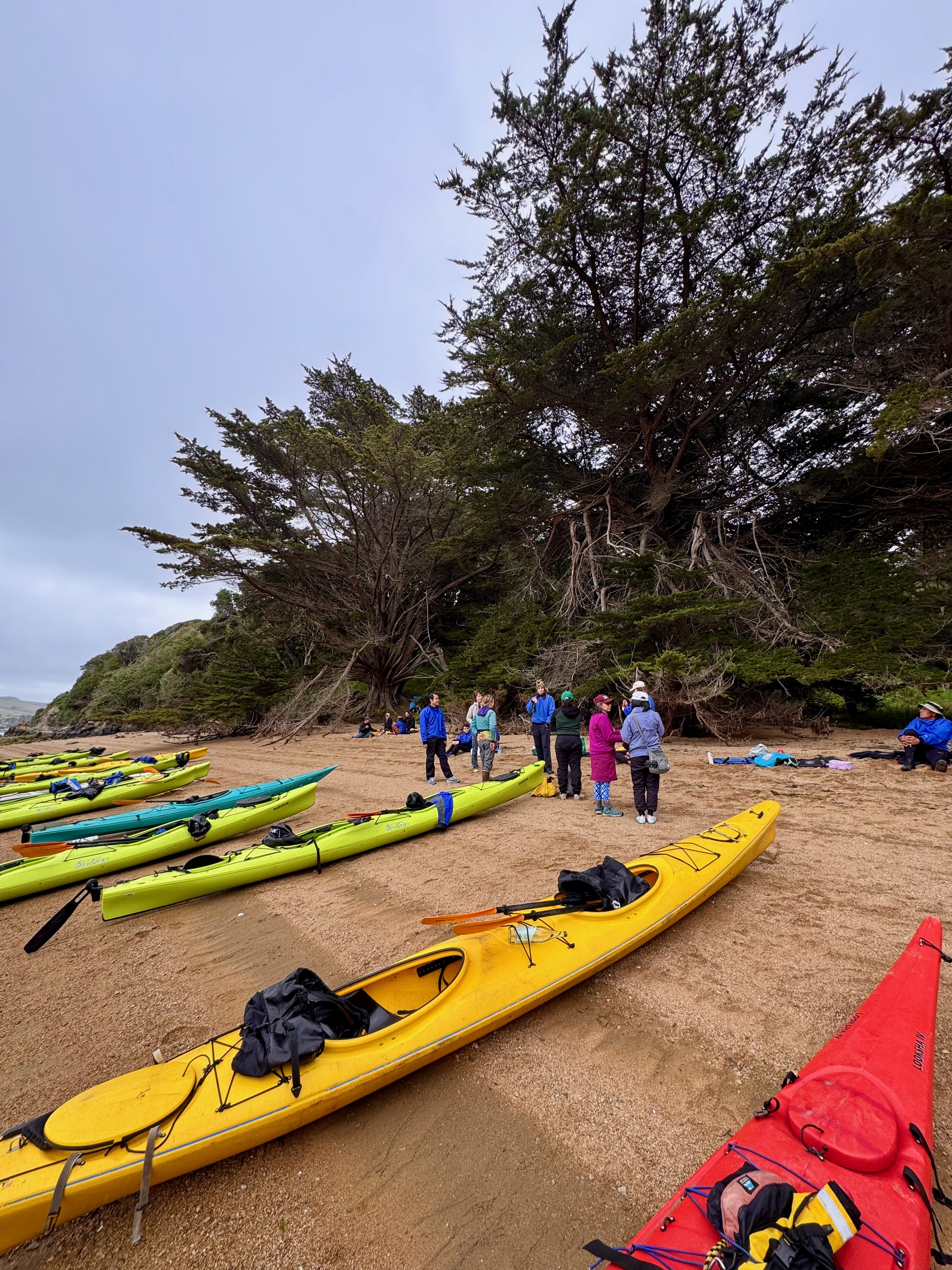 Group with kayaks on beach